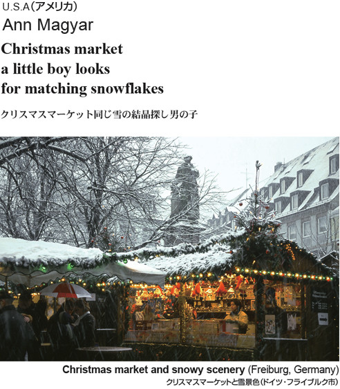 Christmas market a little boy looks for matching  snowflakes --Ann Magyar (United States)