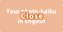 Your photo-haiku in English close