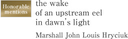 Honorable mentions the wake of an upstream eel in dawn’s light Marshall John Louis Hryciuk