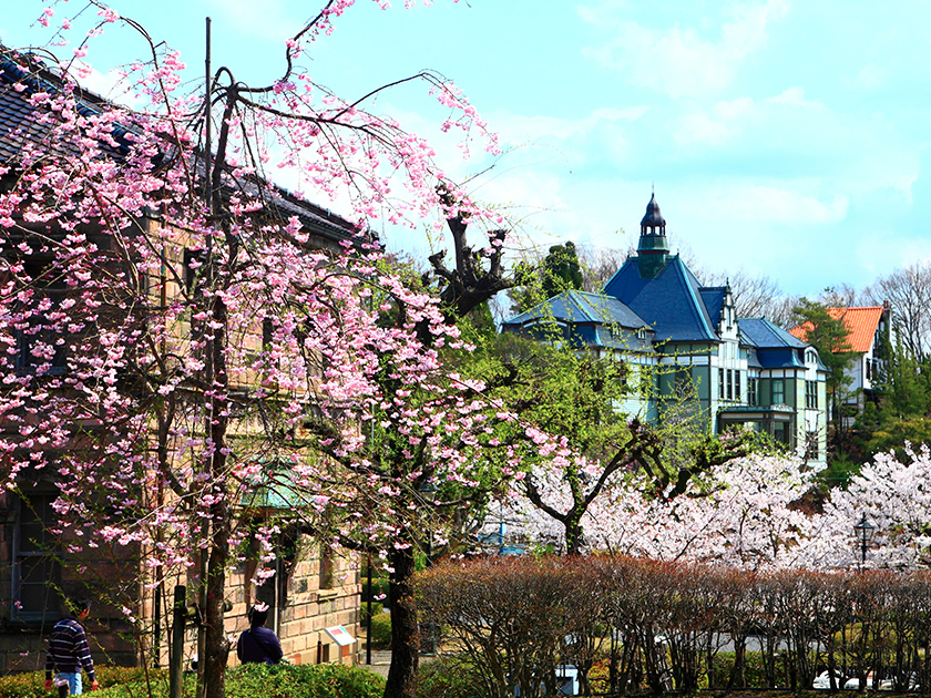 A Glorious Spring Day (Inuyama City, Aichi Prefecture)