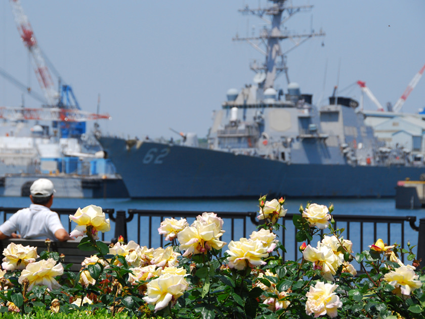 Maborikaigan promenade(Yokosuka, Kanagawa Prefecture)