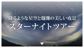 降るような星空と燧灘の美しい夜景 スターナイトツアー